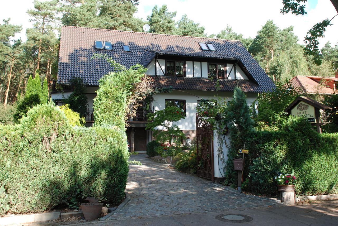 Pension Tannenspitze Wittenberg Exteriör bild